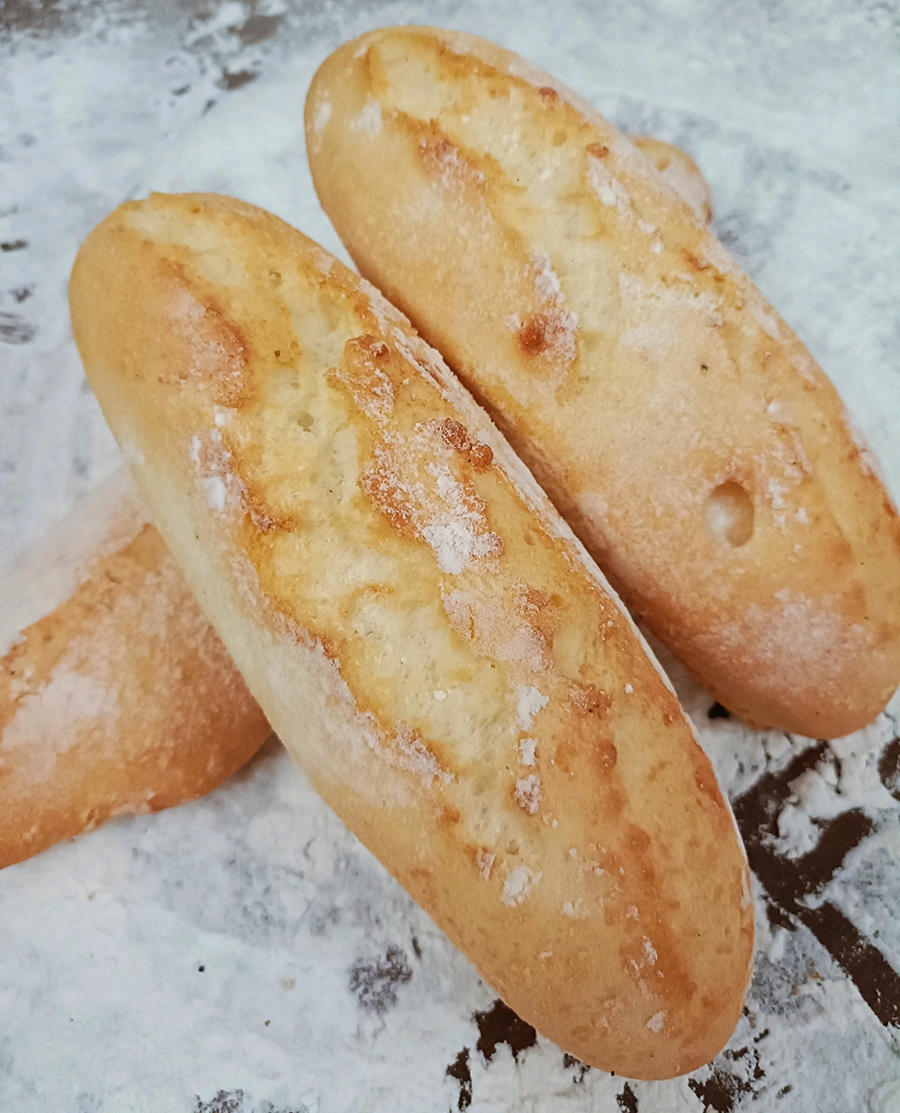 bollobocata
