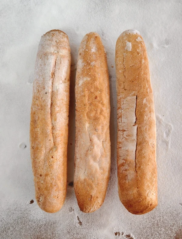 barritarustica