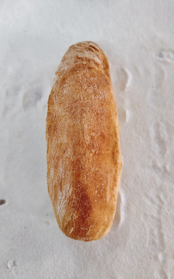 bollitorustico